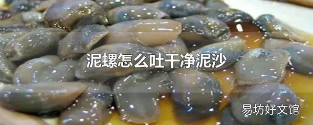 泥螺怎么吐干净泥沙