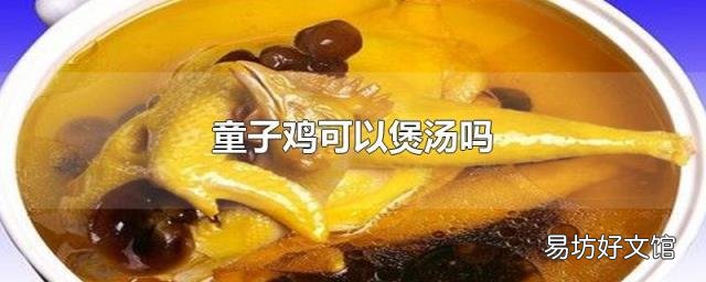 童子雞可以煲湯嗎