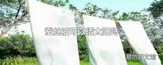 蚕丝被可以晒太阳吗