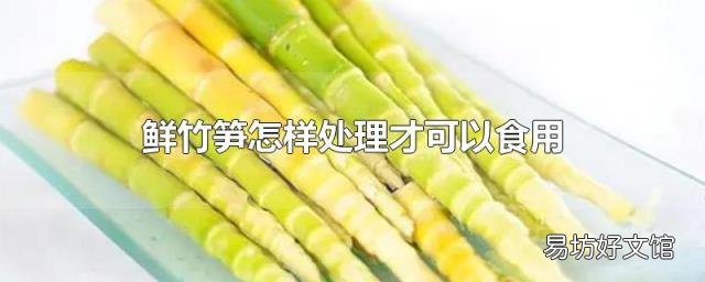 鲜竹笋怎样处理才可以食用