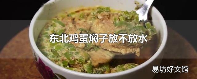 东北鸡蛋焖子放不放水