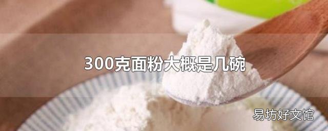 300克面粉大概是几碗