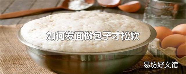 如何发面做包子才松软