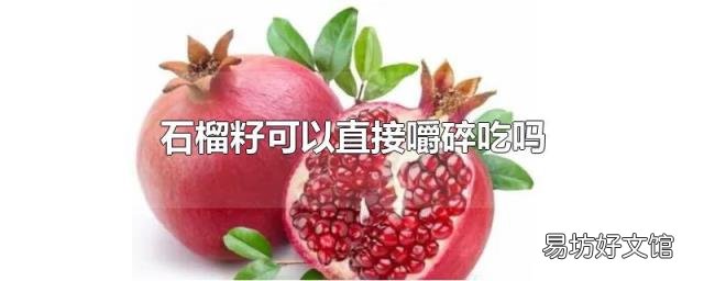 石榴籽可以直接嚼碎吃吗