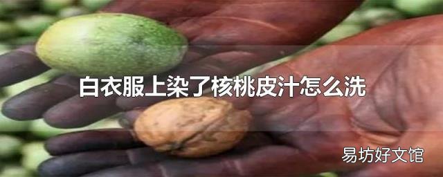 白衣服上染了核桃皮汁怎么洗
