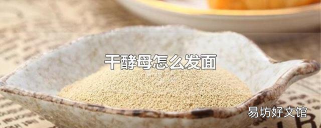 干酵母怎么发面