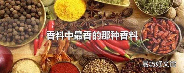 香料中最香的那种香料