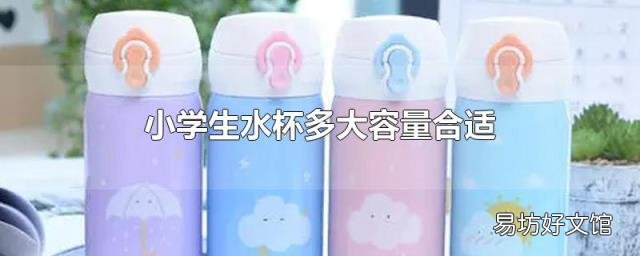 小学生水杯多大容量合适