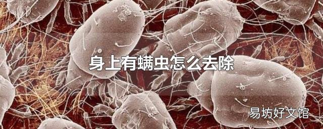 身上有螨虫怎么去除
