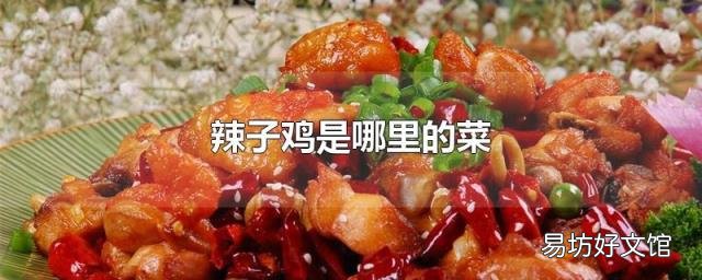 辣子鸡是哪里的菜