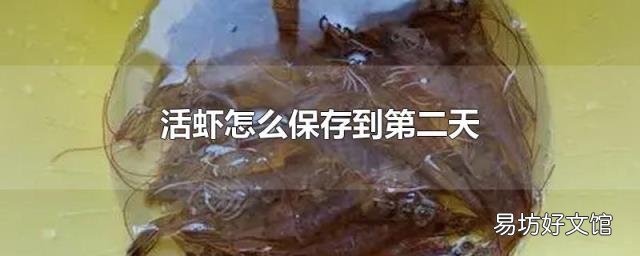 活虾怎么保存到第二天