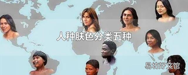 人种肤色分类五种