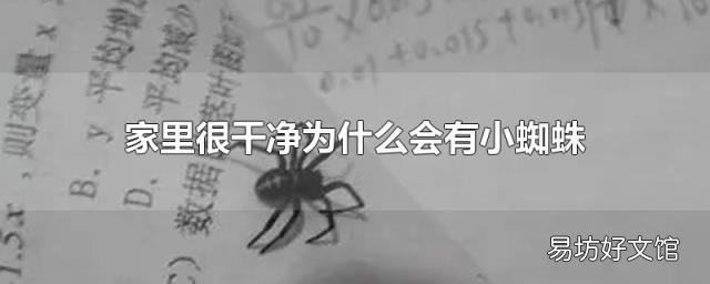 家里很干凈為什么會(huì)有小蜘蛛