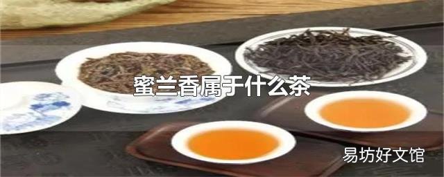 蜜蘭香屬于什么茶
