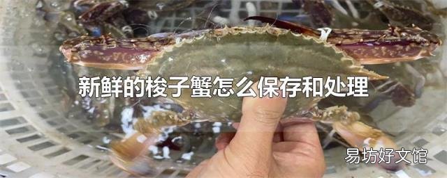 新鮮的梭子蟹怎么保存和處理
