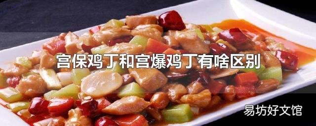宫保鸡丁和宫爆鸡丁有啥区别