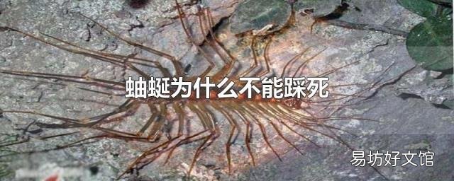 蚰蜒為什么不能踩死
