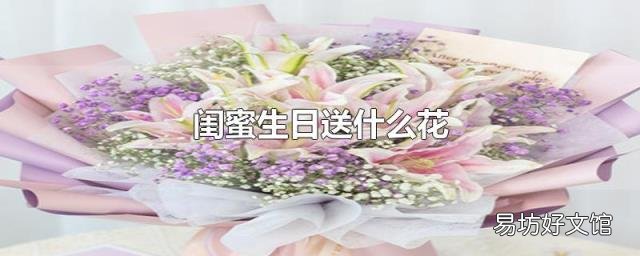 闺蜜生日送什么花