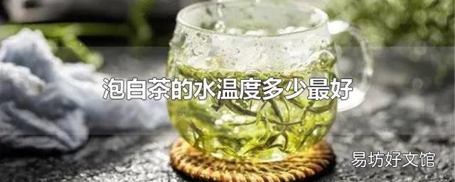 泡白茶的水温度多少最好