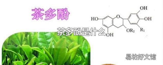 茶多酚是什么