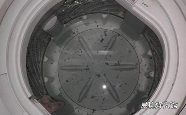 白醋蘇打粉清洗海爾洗衣機(jī)詳細(xì)圖解 小蘇打白醋洗衣機(jī)怎么清洗污垢