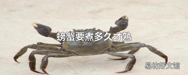 螃蟹要煮多久才熟