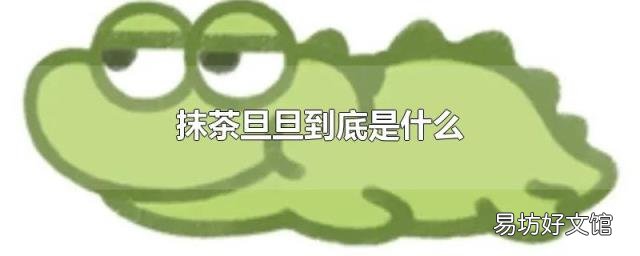 抹茶旦旦到底是什么