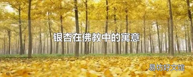 银杏在佛教中的寓意