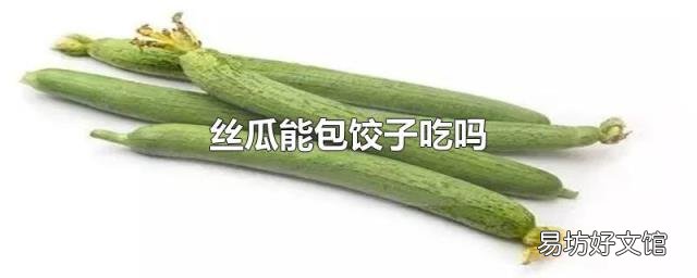 絲瓜能包餃子吃嗎