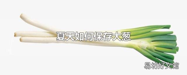 夏天如何保存大葱