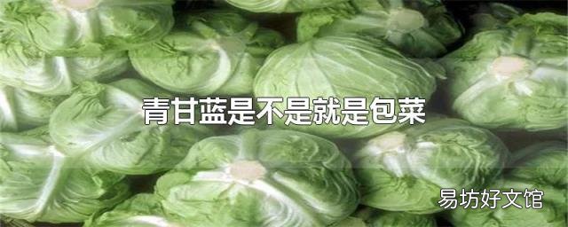 青甘藍(lán)是不是就是包菜