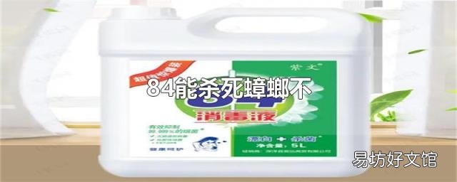 84能杀死蟑螂不