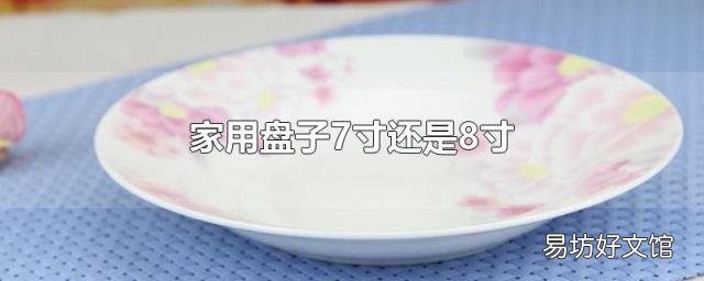 家用盤子7寸還是8寸