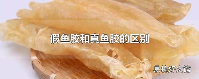 假魚膠和真魚膠的區(qū)別