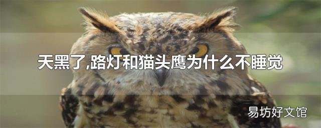 天黑了,路燈和貓頭鷹為什么不睡覺