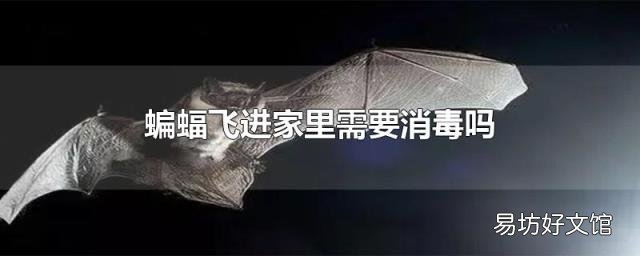 蝙蝠飞进家里需要消毒吗