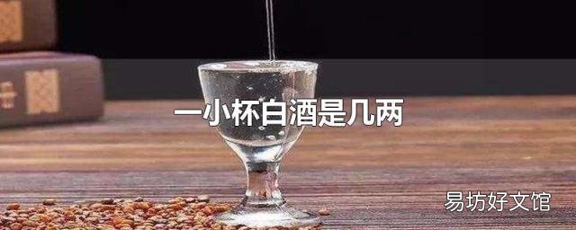 一小杯白酒是几两