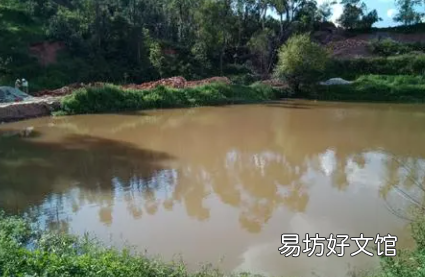 鱼塘下雨后为什么大量死亡