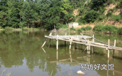 鱼塘下雨后为什么大量死亡