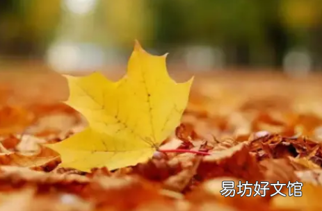 秋天的第一天是立秋还是秋分