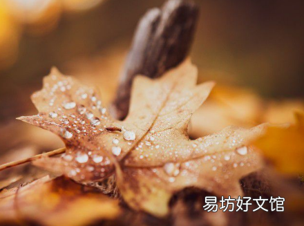 秋天的第一天是立秋还是秋分