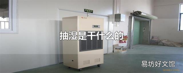 抽湿是干什么的