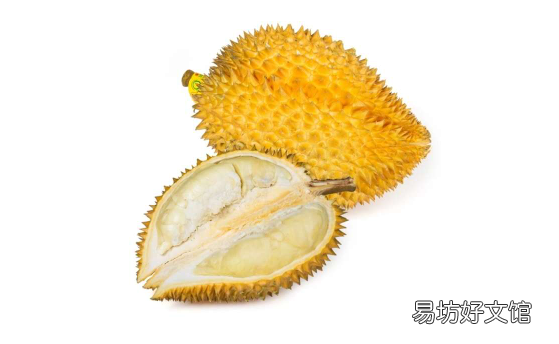 榴莲掰不开就是没熟吗