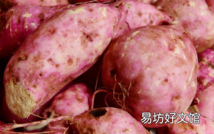 红薯表面长霉了还可以吃吗