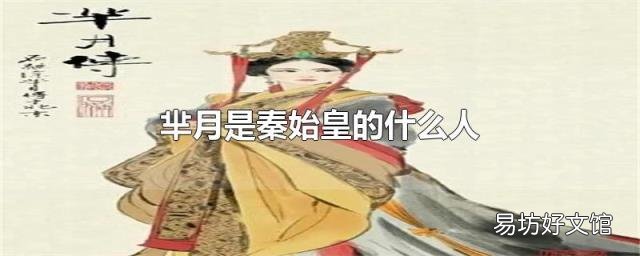 芈月是秦始皇的什么人