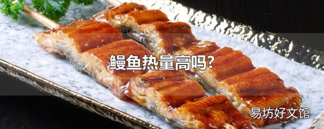 鳗鱼热量高吗?