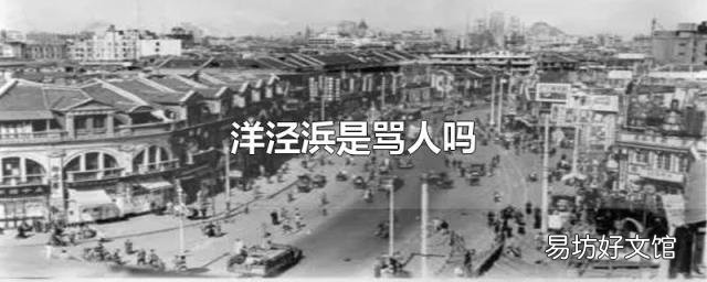 洋泾浜是骂人吗