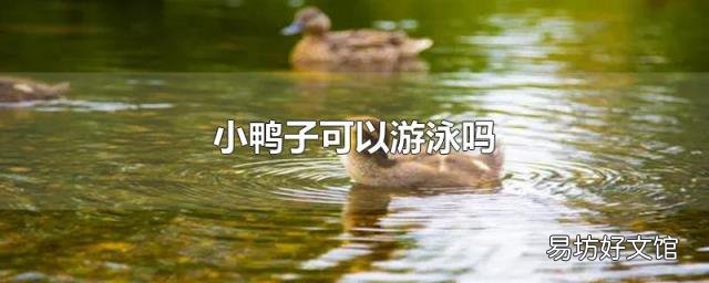 小鸭子可以游泳吗