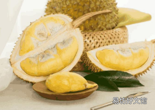 榴莲开口招果蝇怎么办