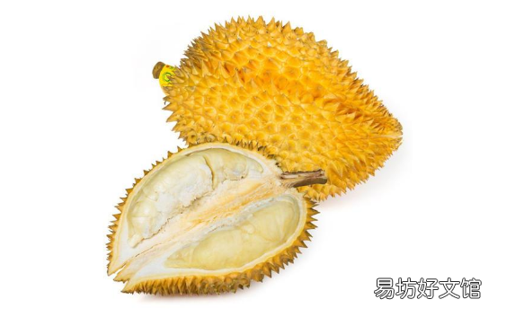 榴莲开口招果蝇怎么办